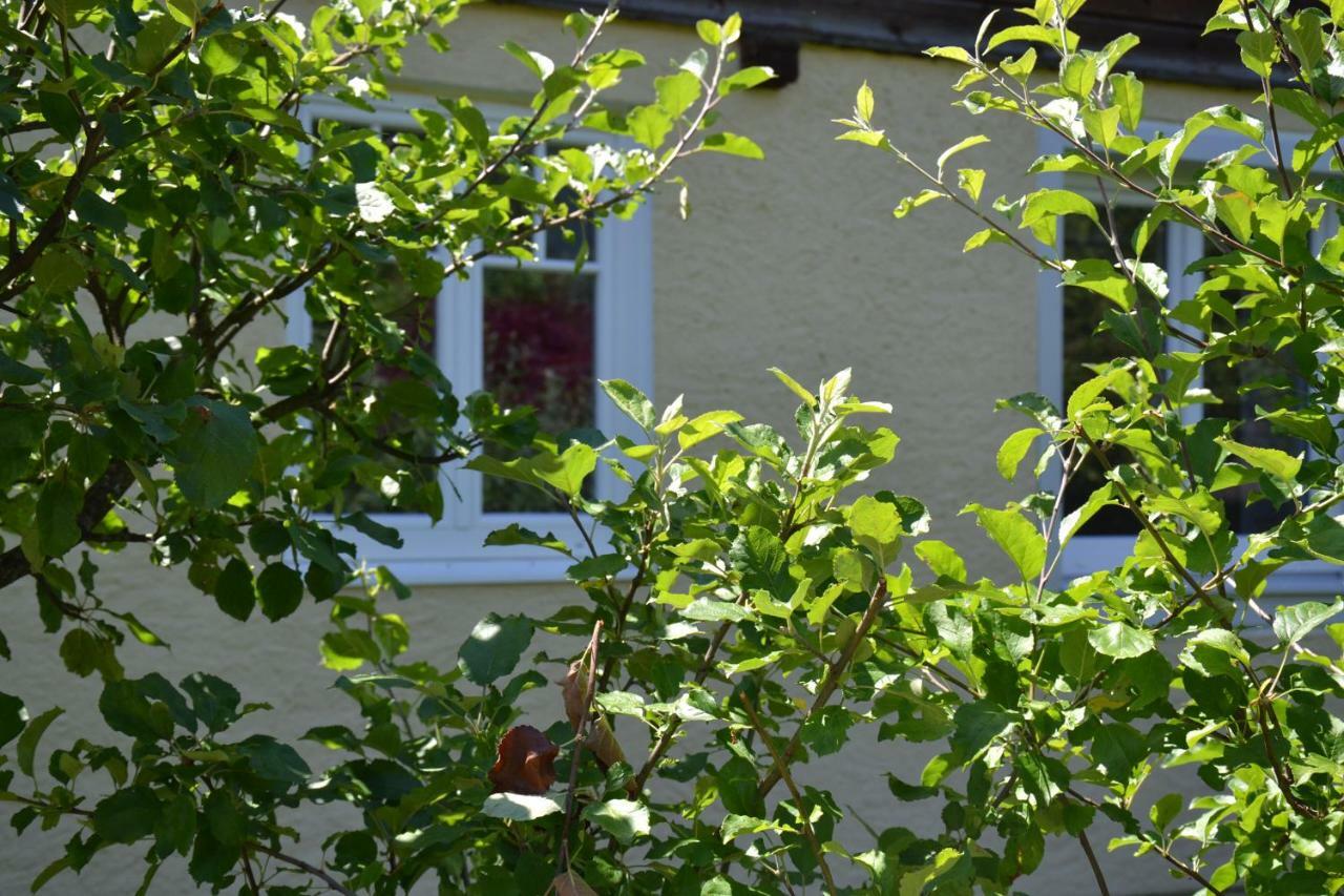 Coralie Apartment Strobl Exterior photo